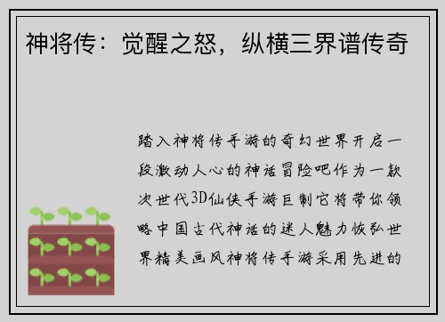 神将传：觉醒之怒，纵横三界谱传奇